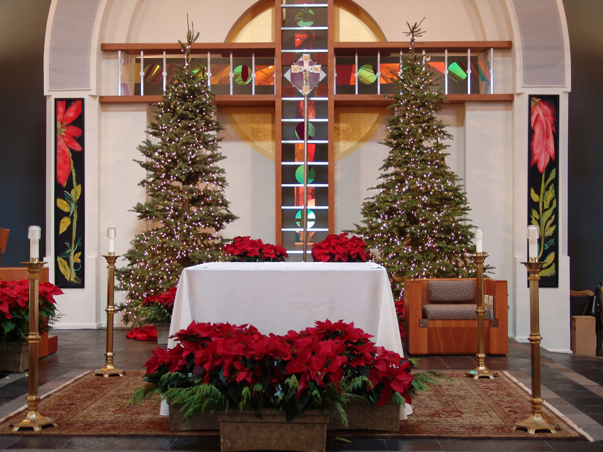 Poinsettias at St. Elizabeth Seton Catholic Church in Carlsbad, CA 