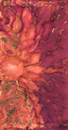 Sun Promise Fabric