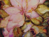 Magnolia with Lumiere