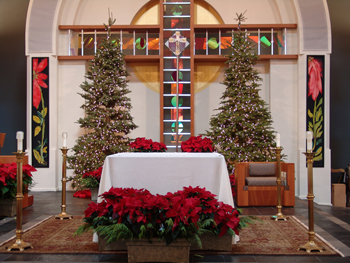 Poinsettias at St. Elizabeth Seton at Carlsbad California